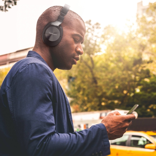 Technics EAH-A800E-S ast 1505273.jpg.pub.thumb.644.644